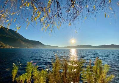 旅游企業業務全線復蘇 上調業績目標，'只要給機會，一定能一躍而起'